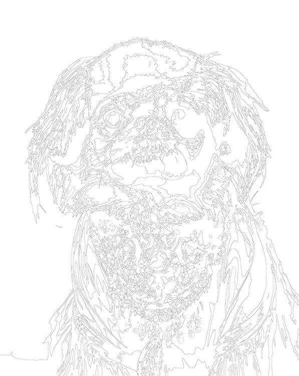 Картина по номерам «Собака Пекинес с украшениями» — картинка 3