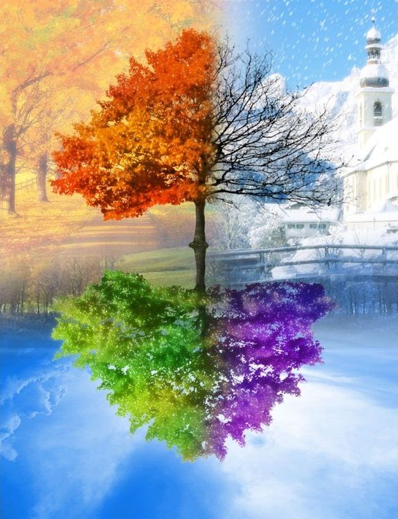 Алмазная вышивка «Времена года» — картинка 2