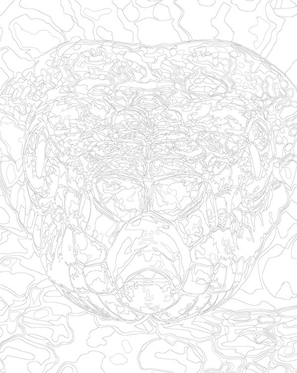 Картина по номерам «Оранжевая змея, Символ года, животные» — картинка 3