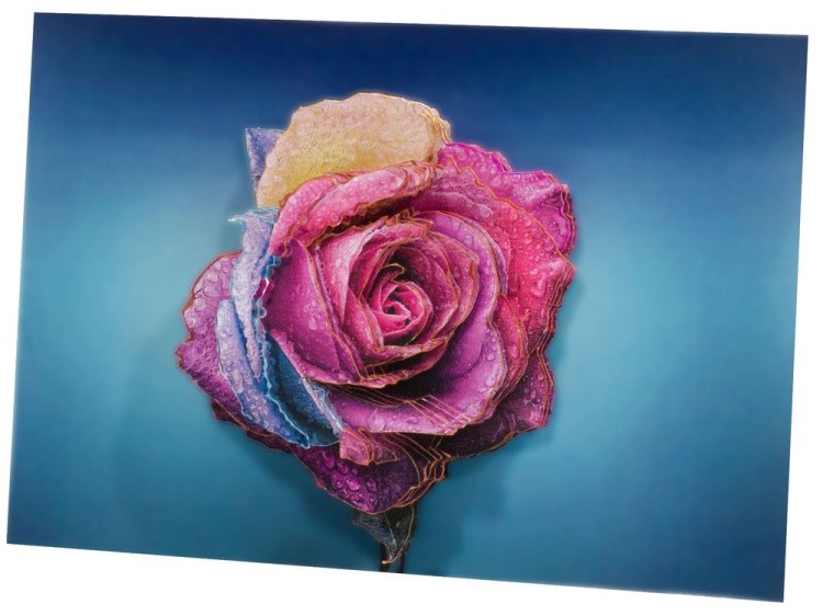 Папертоль «Радужная роза» — картинка 2