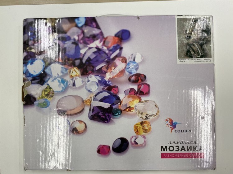 УЦЕНКА. Алмазная вышивка «Взгляд в небо» (порвана коробка) — картинка 2