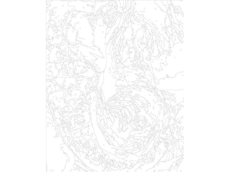 Картина по номерам «Слониха со слонёнком» — картинка 3