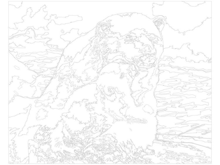 Картина по номерам «Белые медведи» — картинка 3