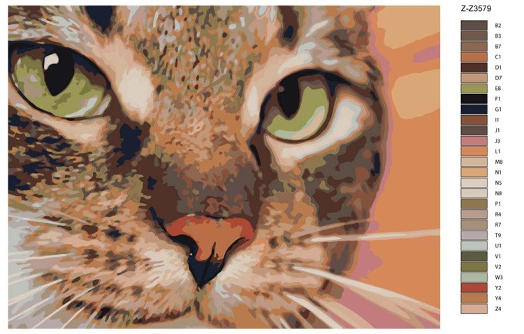 Картина по номерам «Симпатичный кот» — картинка 2