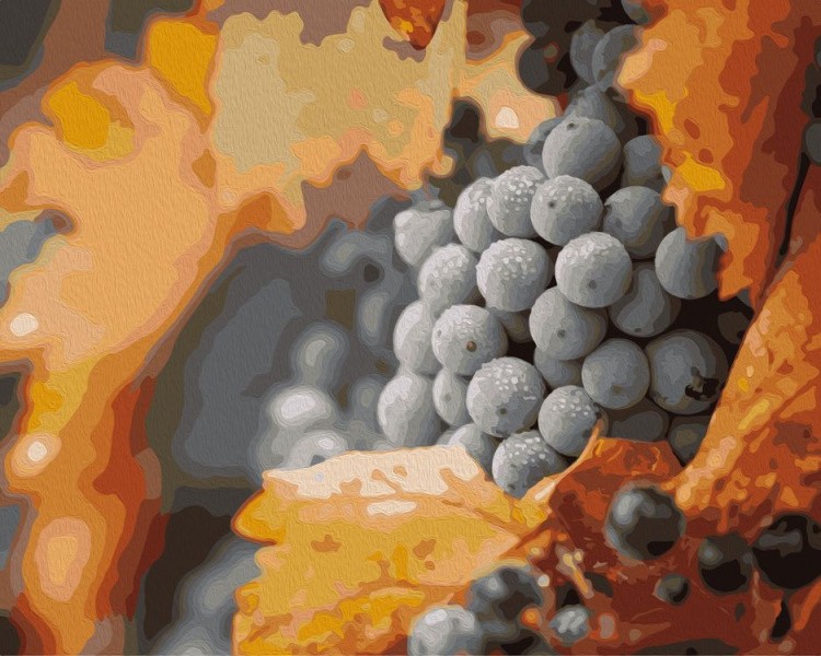 Картина по номерам «Гроздь винограда»