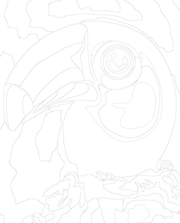 Картина по номерам «Тукан» — картинка 3