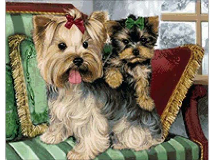Алмазная вышивка «Йоркширские терьеры» — картинка 2