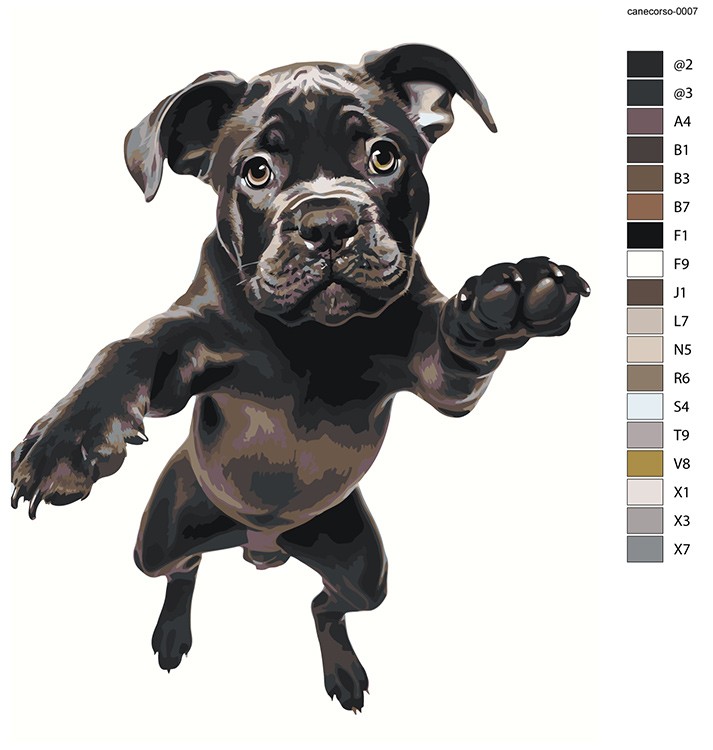 Картина по номерам «Собака Кане корсо щенок в прыжке» — картинка 2