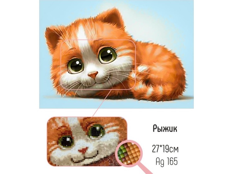Алмазная вышивка «Рыжик» — картинка 2