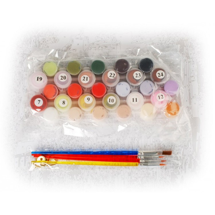 Картина по номерам «Франция. Дилан» — картинка 3