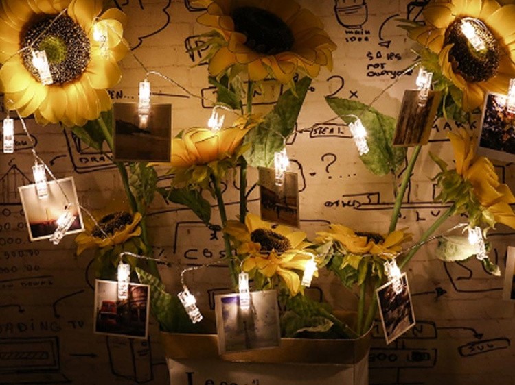 Декоративная светодиодная гирлянда с прищепками — картинка 5