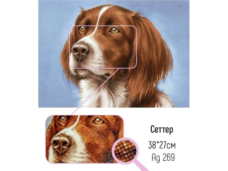 Алмазная вышивка «Сеттер» — картинка 2