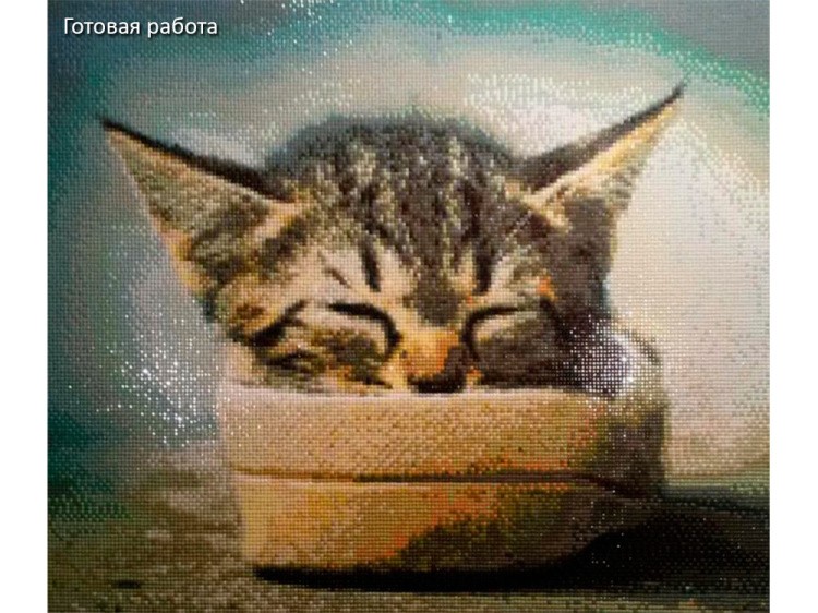 Алмазная вышивка «Я в домике» — картинка 2