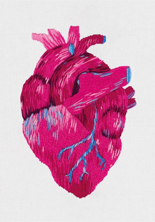 Набор для вышивания «Анатомическое сердце»