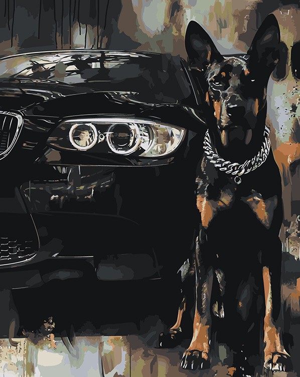 Картина по номерам «Машина BMW и собака доберман арт 40х50»