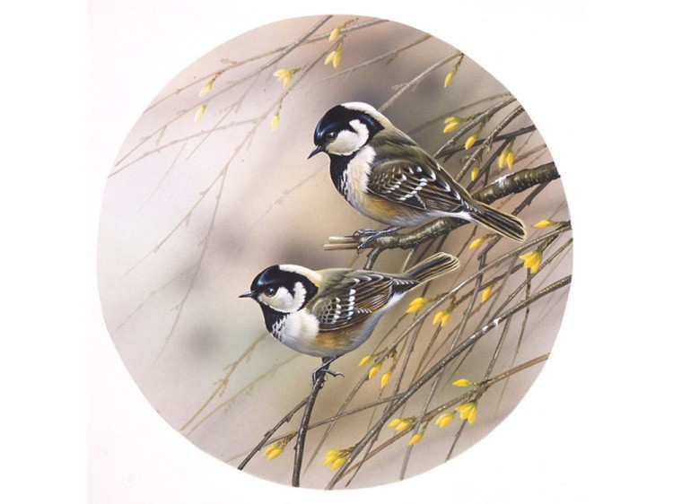 Набор для вышивания «Синицы» — картинка 2