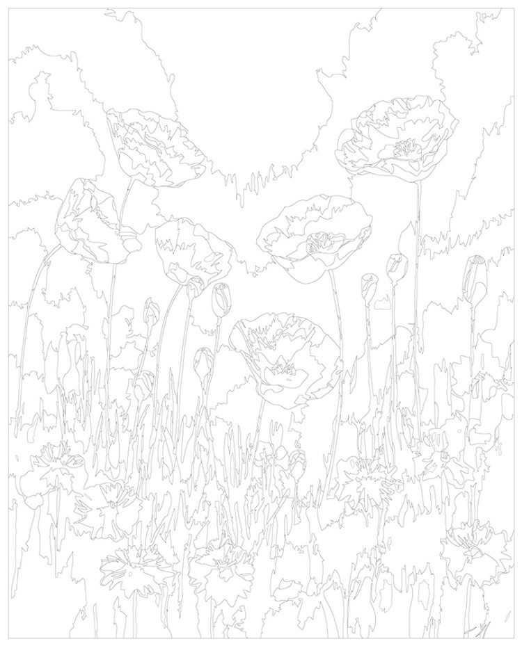 Картина по номерам Цветы яркие маки и васильки — картинка 3