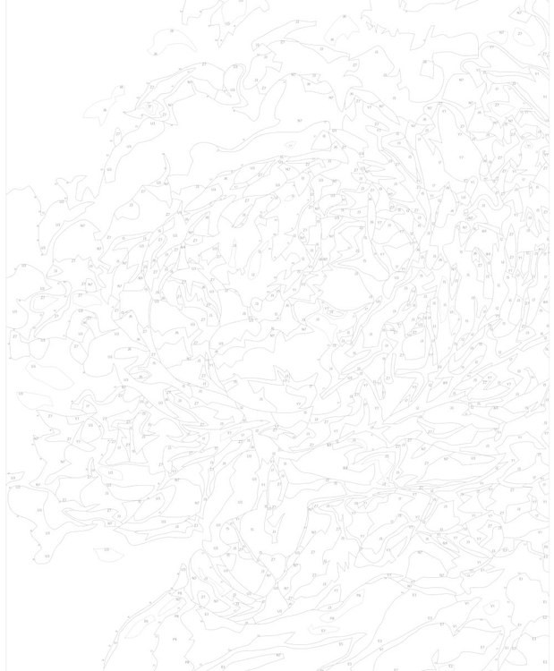 Картина по номерам «Розовый пион» — картинка 3