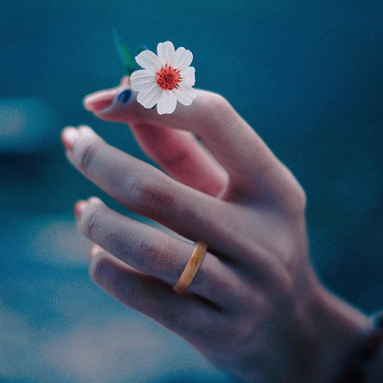 Силиконовый молд - Кольца, 25х8 см — картинка 4