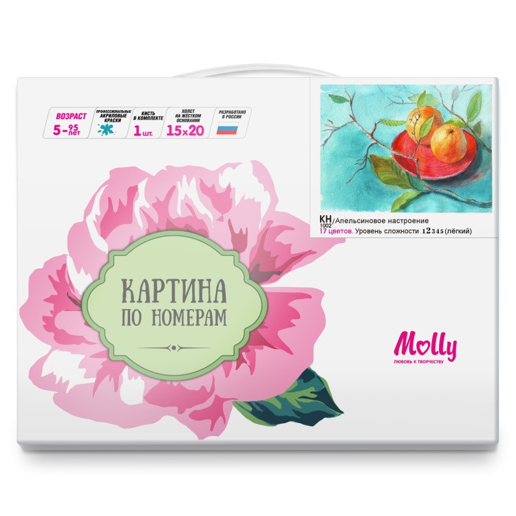 Картина по номерам «Апельсиновое настроение» — картинка 3