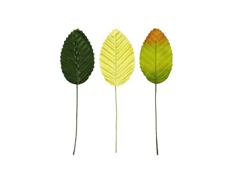 Декоративные элементы «MIX листья», 5x3 см, 10 шт., Blumentag