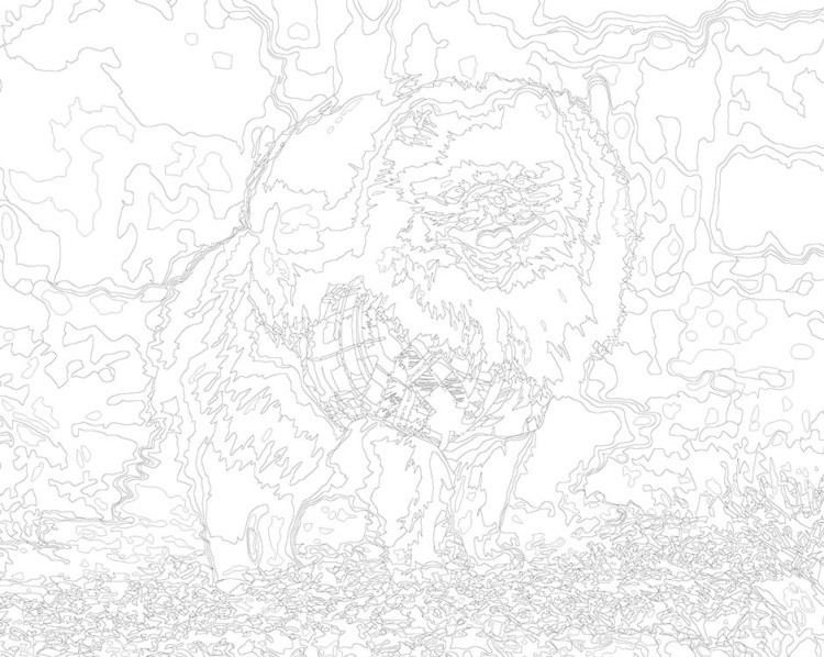 Картина по номерам «Собаки: Шпиц в костюме в парке 40х50» — картинка 3