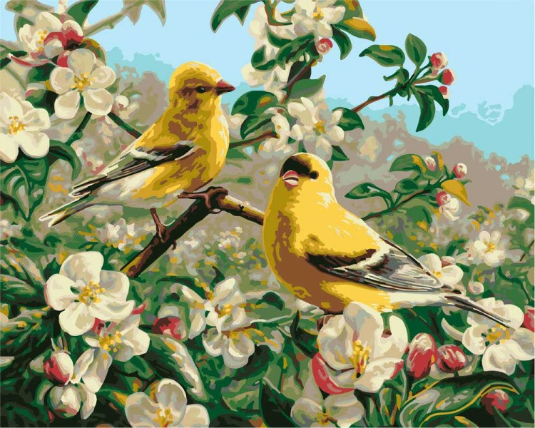 Картина по номерам «Райские птички»