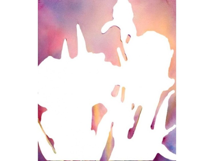 Алмазная вышивка «Ирисы на закате» — картинка 2