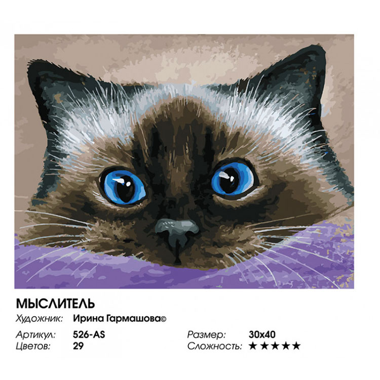 Картина по номерам «Мыслитель» — картинка 2