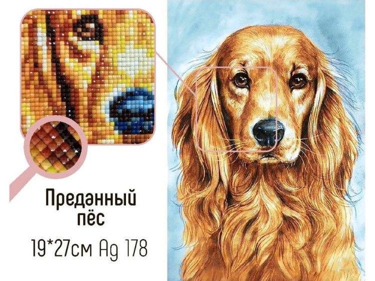 Алмазная вышивка «Преданный пёс» — картинка 2