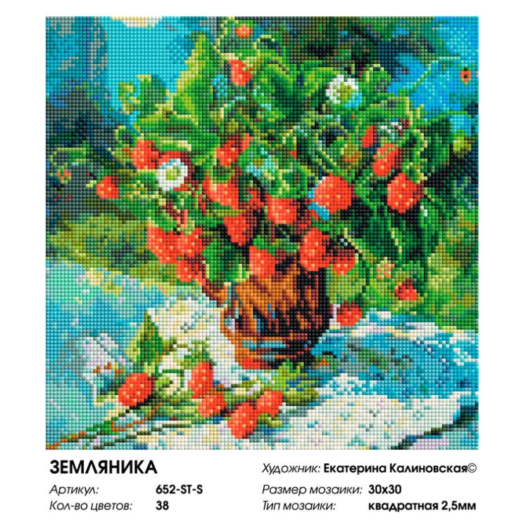 Алмазная вышивка «Земляника» — картинка 2