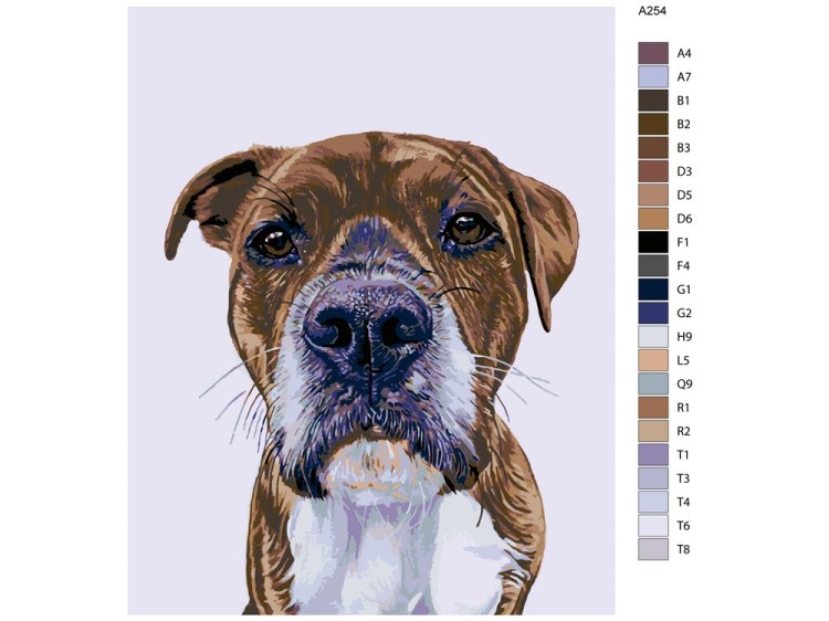 Картина по номерам «Амир» — картинка 2