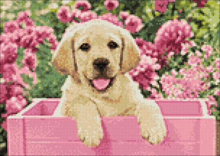 Алмазная вышивка «Щенок лабрадора» — картинка 2