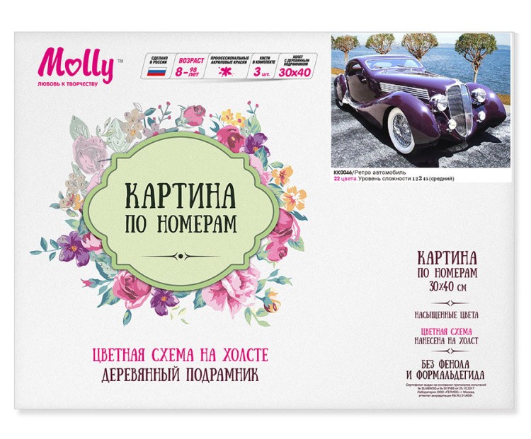 Картина по номерам «Ретро-автомобиль» — картинка 3