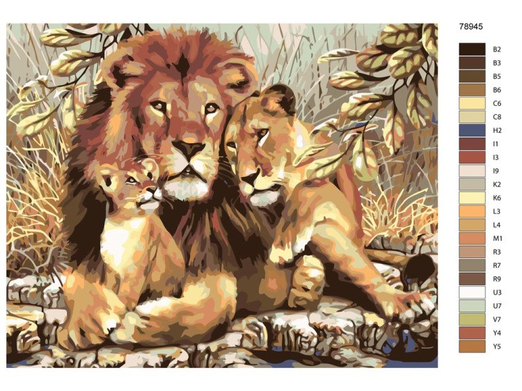 Картина по номерам «Львиное семейство» — картинка 2