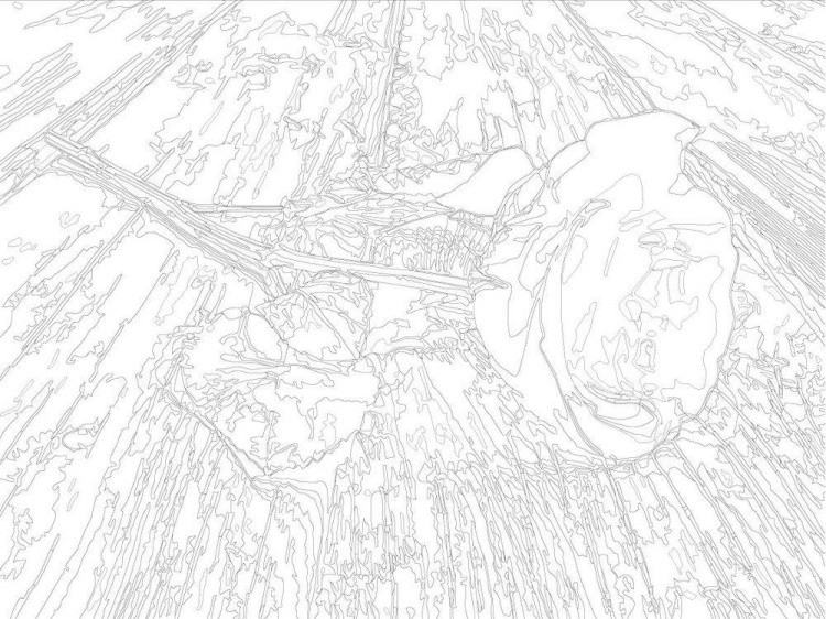 Картина по номерам «Красная роза» — картинка 3