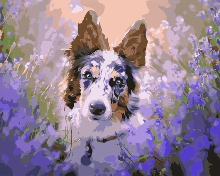 Картина по номерам «Пёс в цветах»