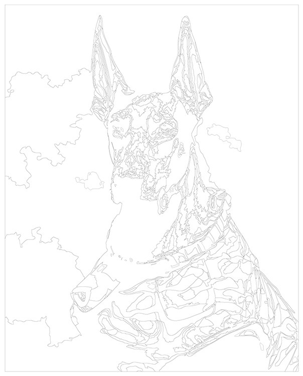 Картина по номерам «Собака доберман в камуфляже» — картинка 3