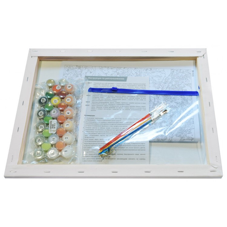 Картина по номерам «Наблюдатель» — картинка 3