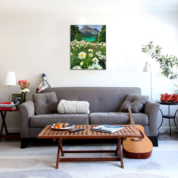 Картина по номерам «Ромашковое поле в горах» — картинка 4