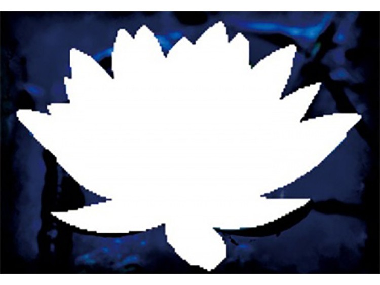 Алмазная вышивка «Лунный свет» — картинка 2