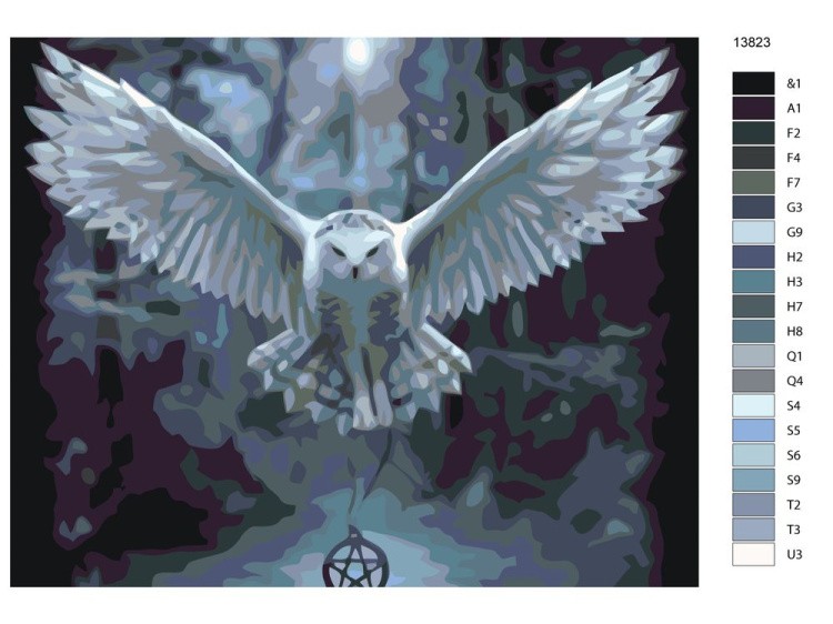 Картина по номерам «Сова с амулетом» — картинка 2