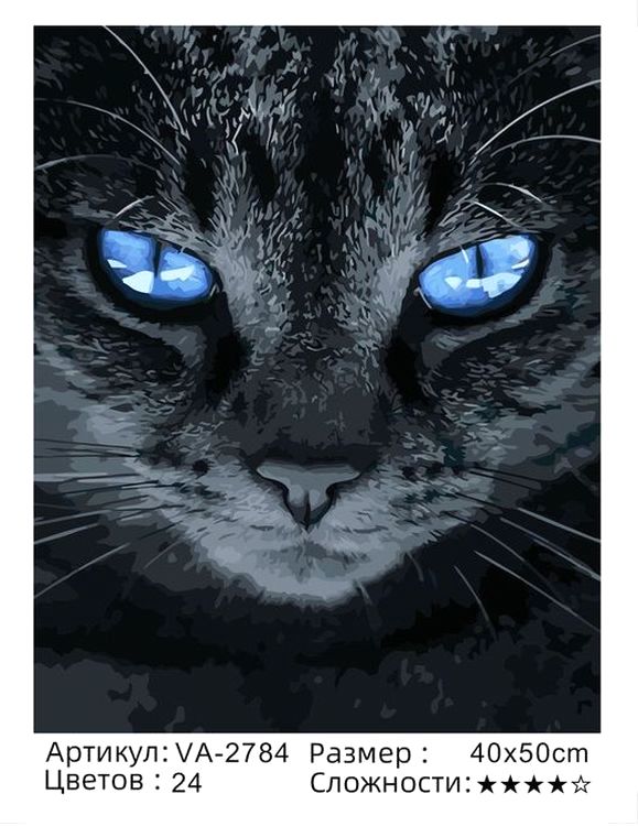 Картина по номерам «Голубые глаза» — картинка 2