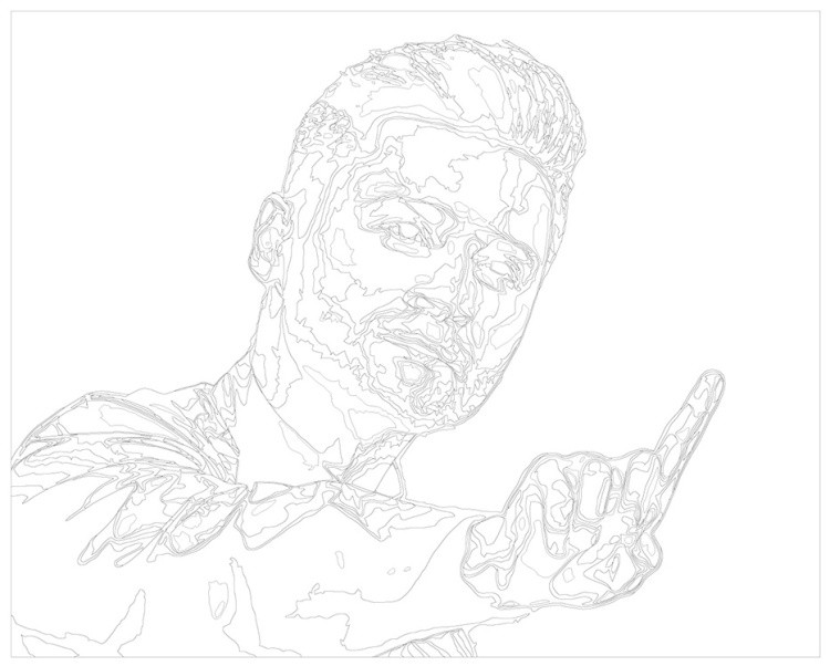 Картина по номерам «Российский музыкант Сергей Лазарев 10» — картинка 3