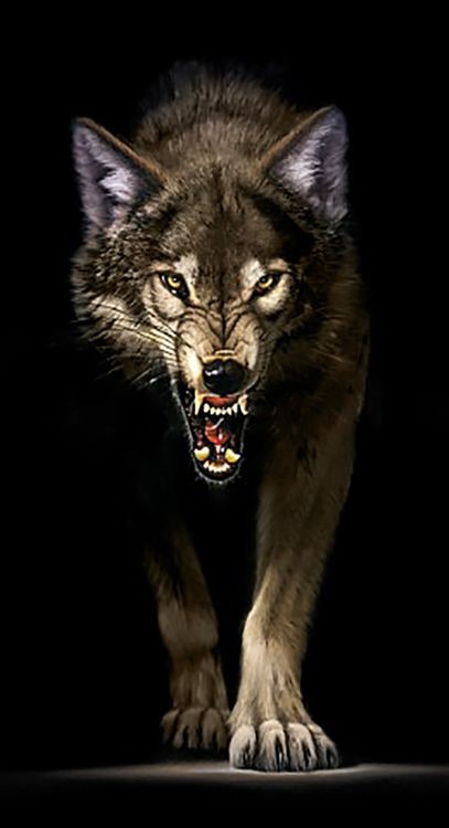 Алмазная вышивка «Преследующий волк»