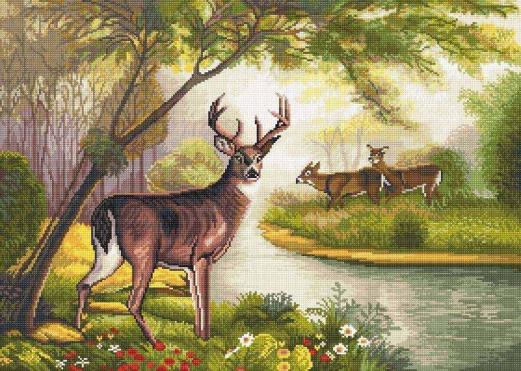 Алмазная вышивка «Лесная сказка» — картинка 2