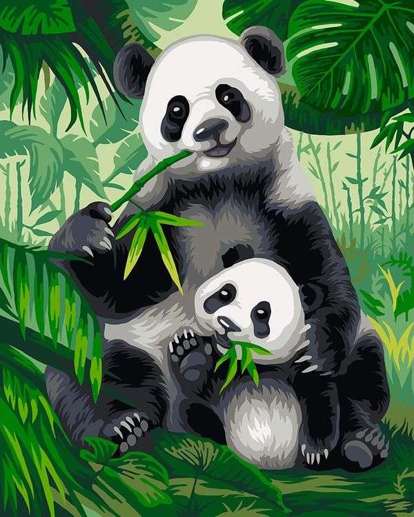 Картина по номерам «Хозяева бамбукового леса»