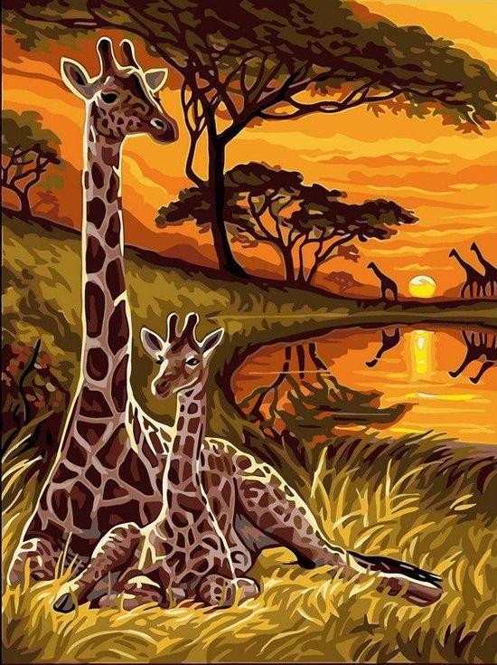 Картина по номерам «Жирафы»