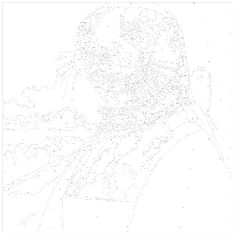 Картина по номерам «Выдра в ожерелье» — картинка 3