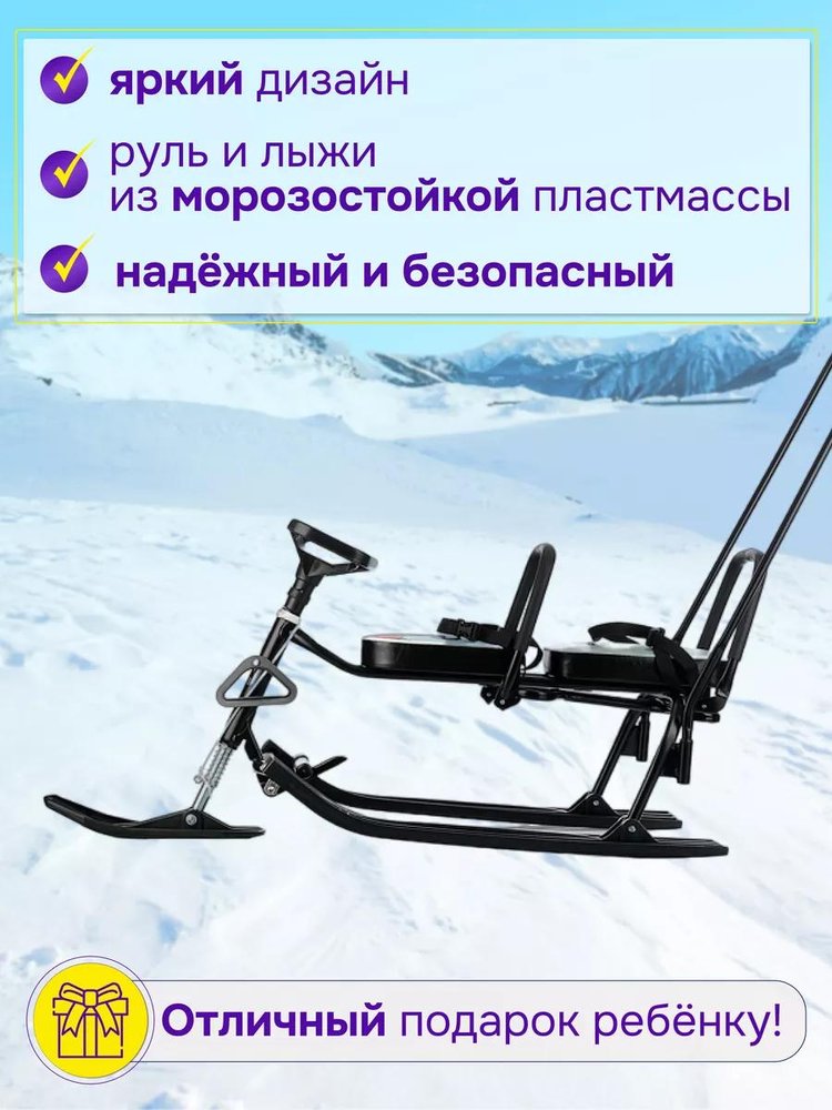 Снегокат детский 505 TWINS BABY PUSH со спинкой для двоих — картинка 3